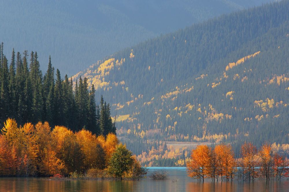 ОСЕНЬ АБРАХАМА