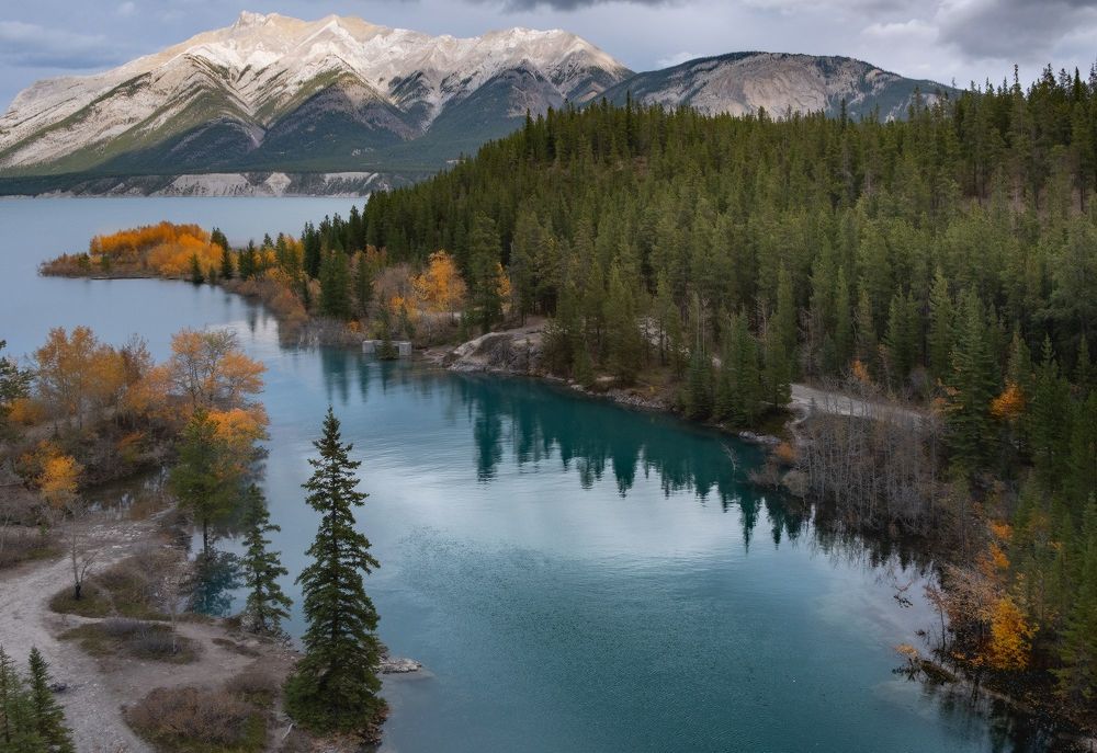 ОСЕНЬ АБРАХАМА