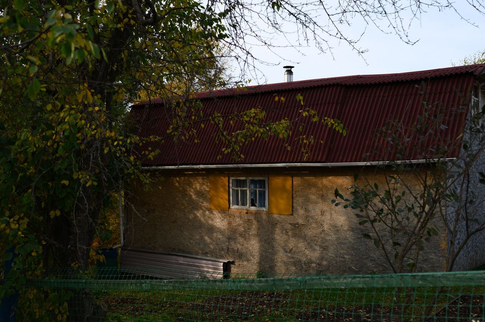 Тростяное осенью
