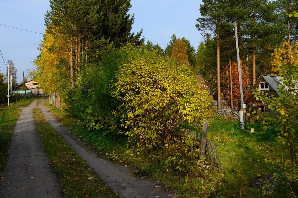 Тростяное осенью