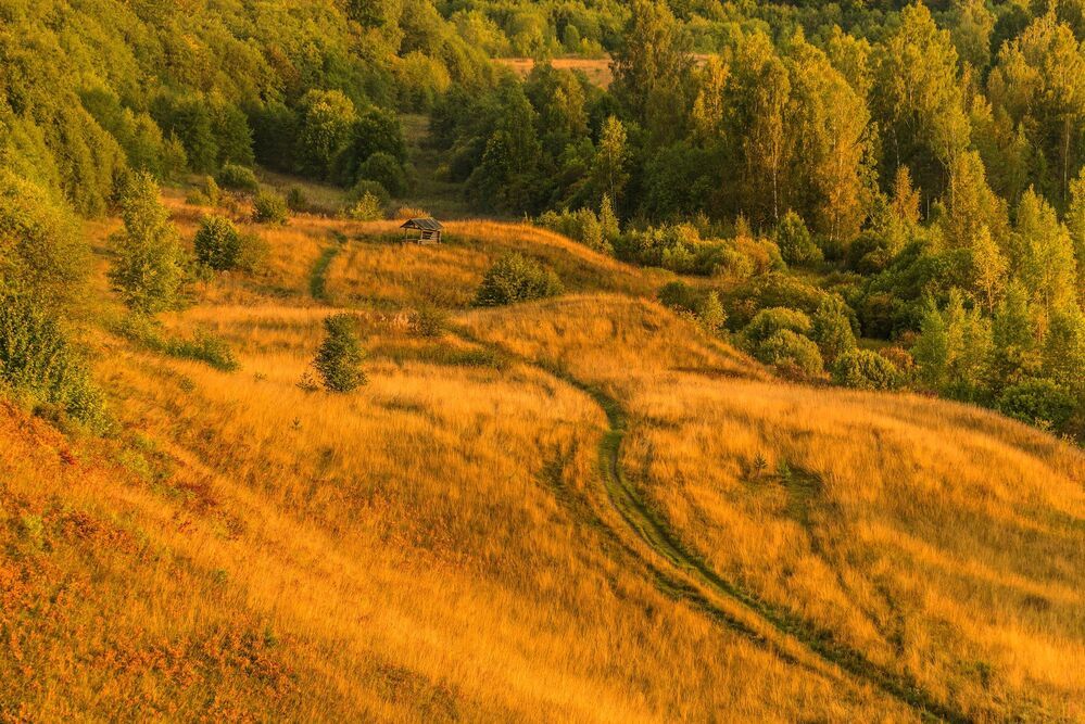 Утро в долине