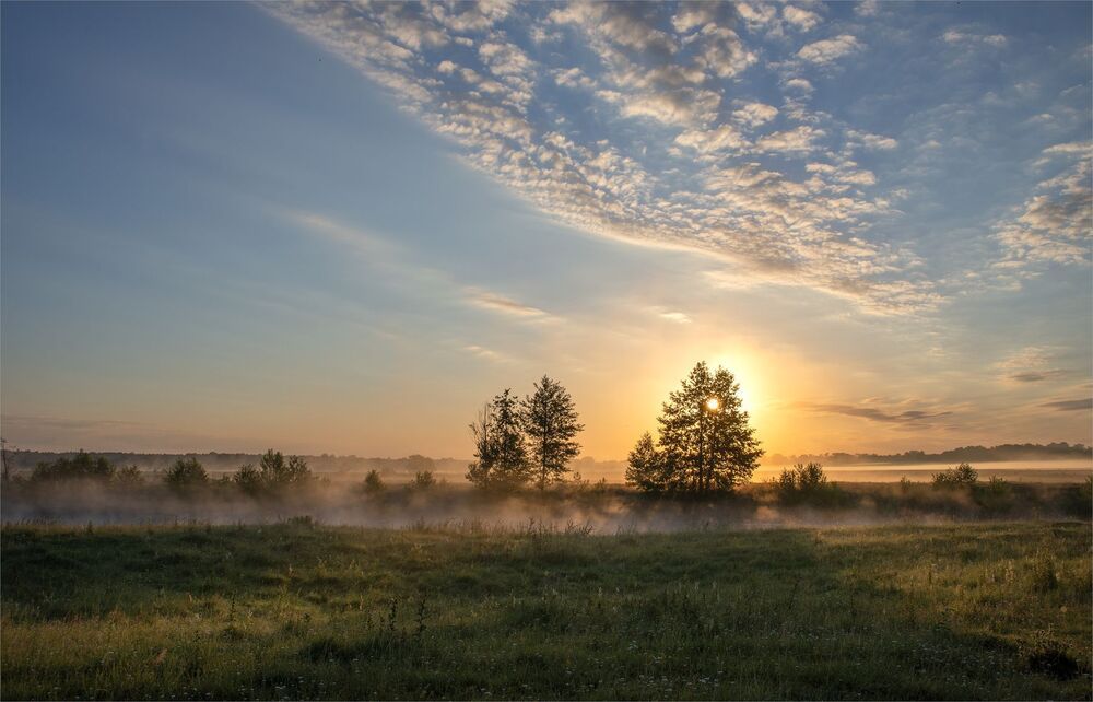 in the dawn rays...