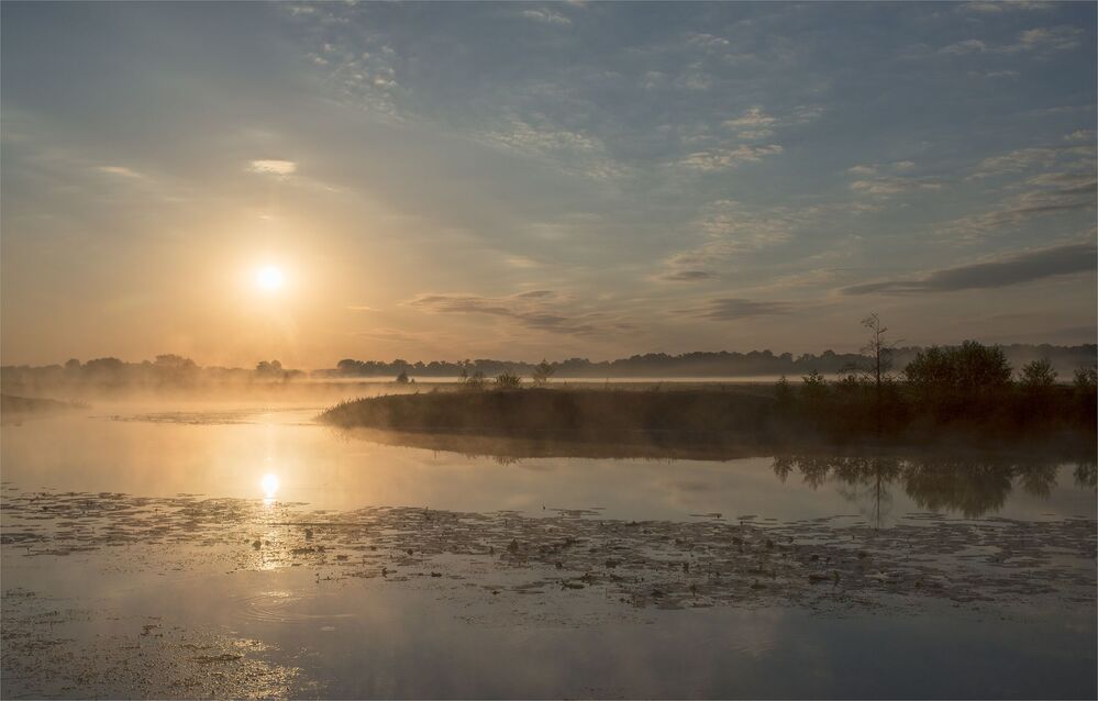 in the dawn rays...