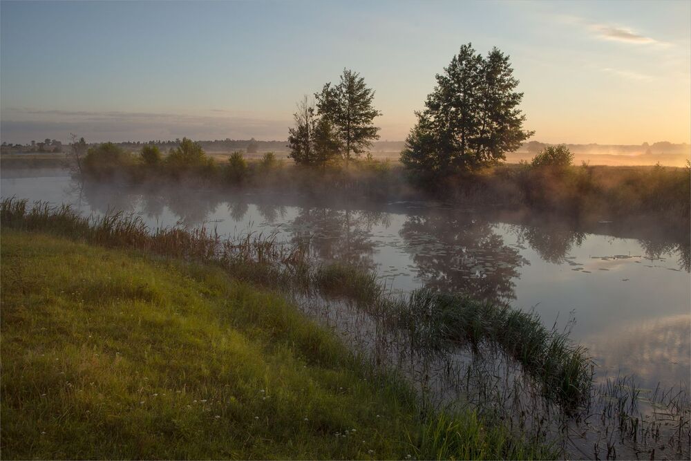 in the dawn rays...