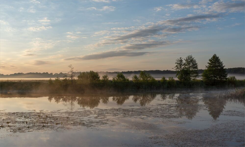 in the dawn rays...