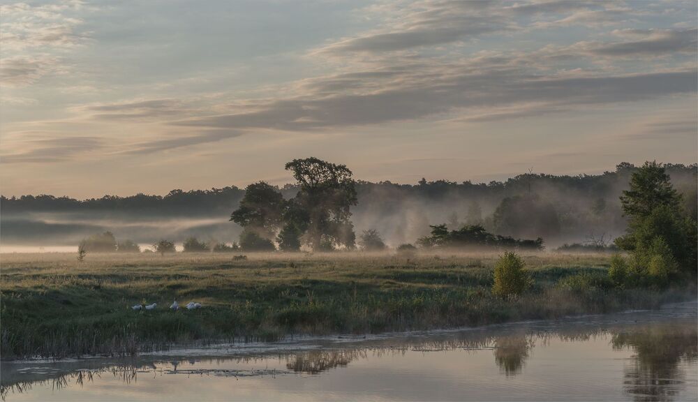 in the dawn rays...