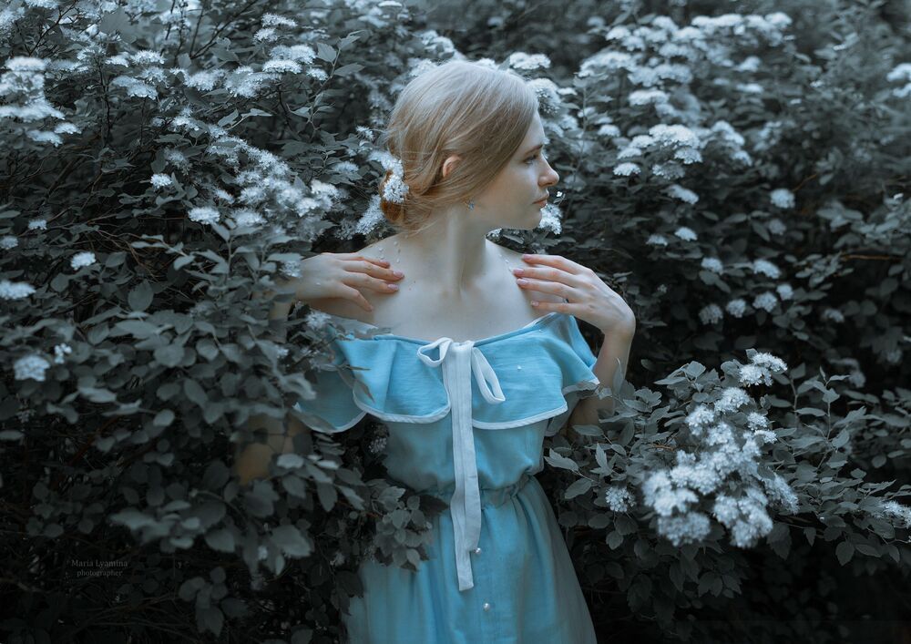 Photo 1792783