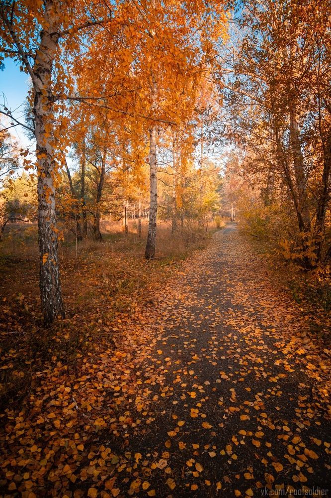 Осень в Омске