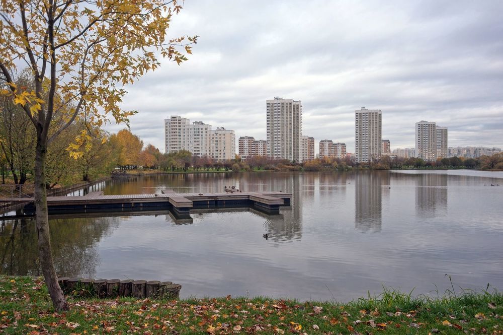 Утром в парке Южного Бутово
