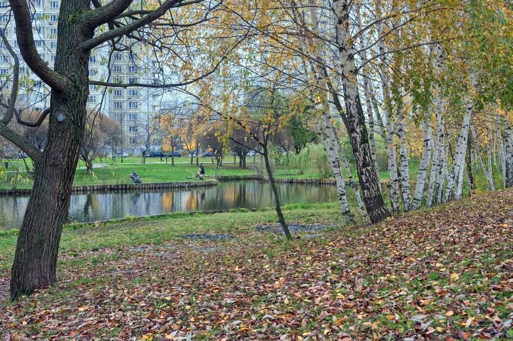 Утром в парке Южного Бутово