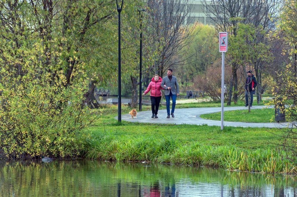 Утром в парке Южного Бутово