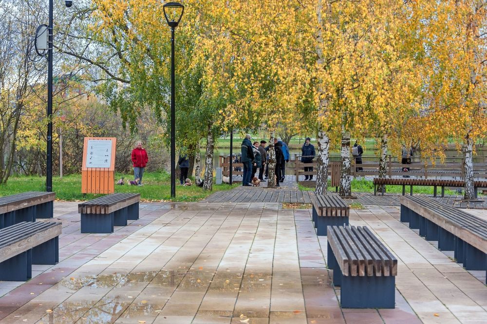 Утром в парке Южного Бутово