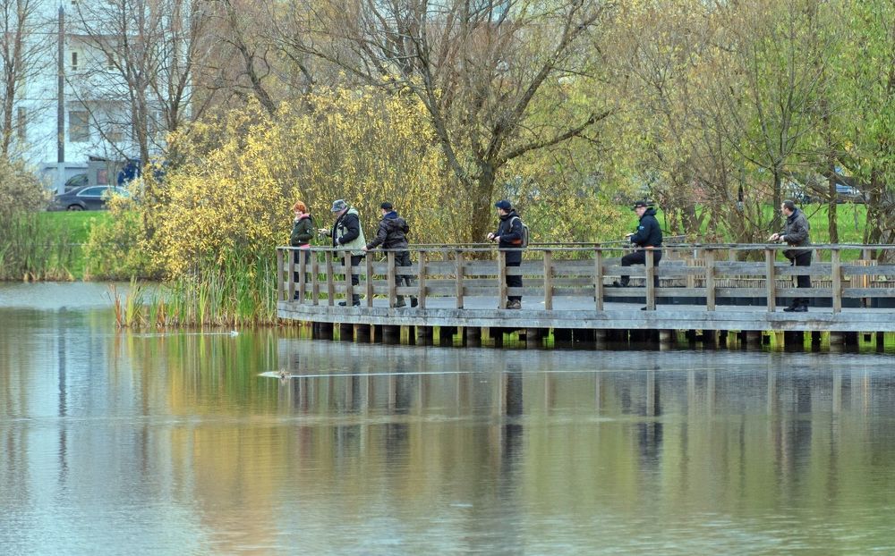 Утром в парке Южного Бутово