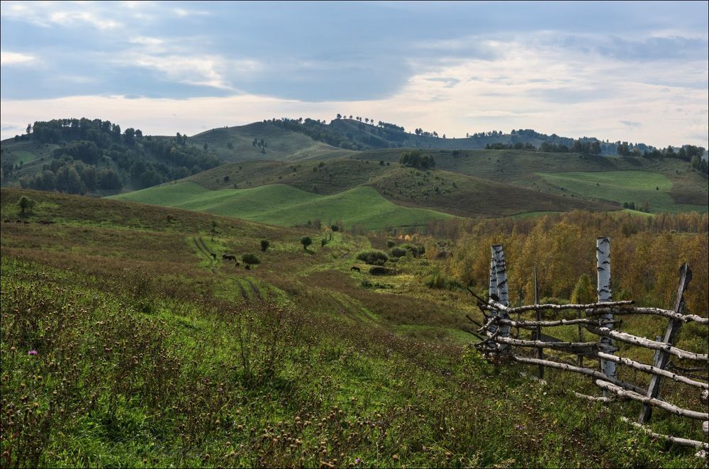Алтайская пастораль