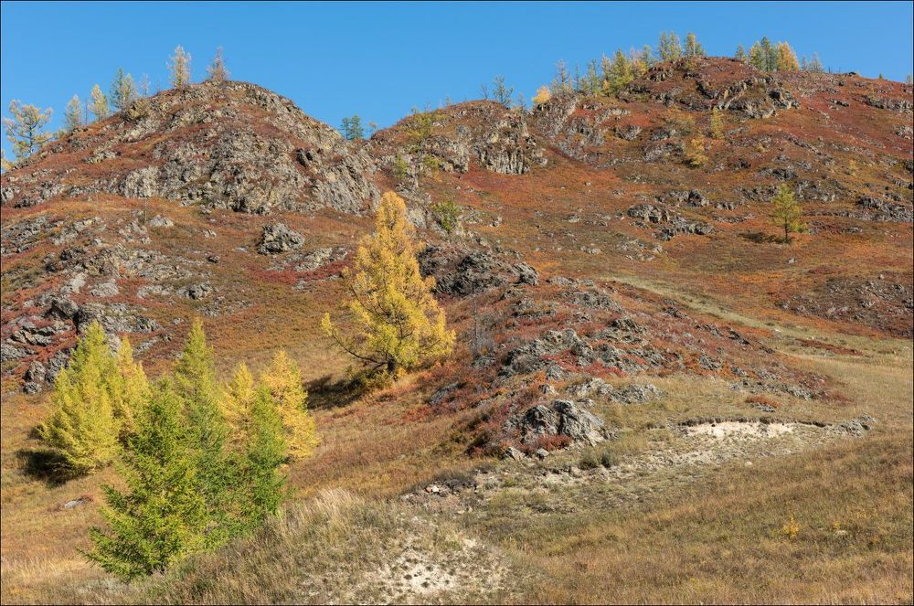 Осенние краски среднего Алтая