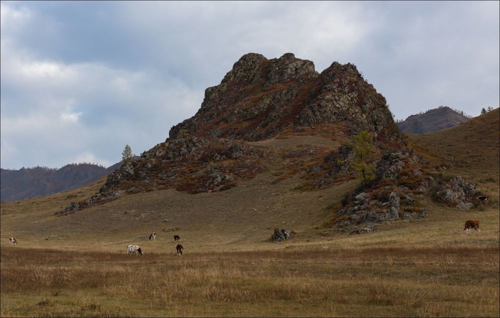 Осенняя пастораль Онгудайского района