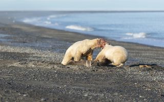получает в ответ