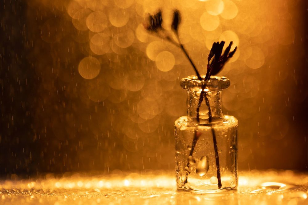 The Rainy Sun
