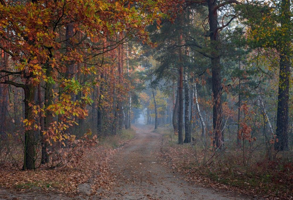 Колдовала осень