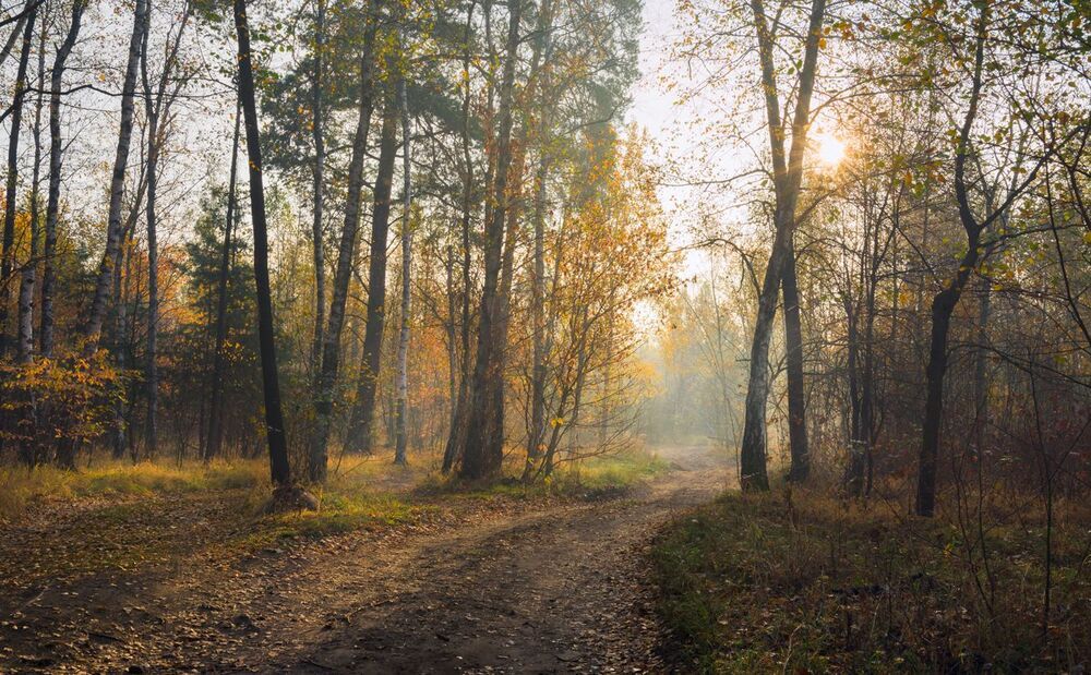 Autumn, the beautiful morning