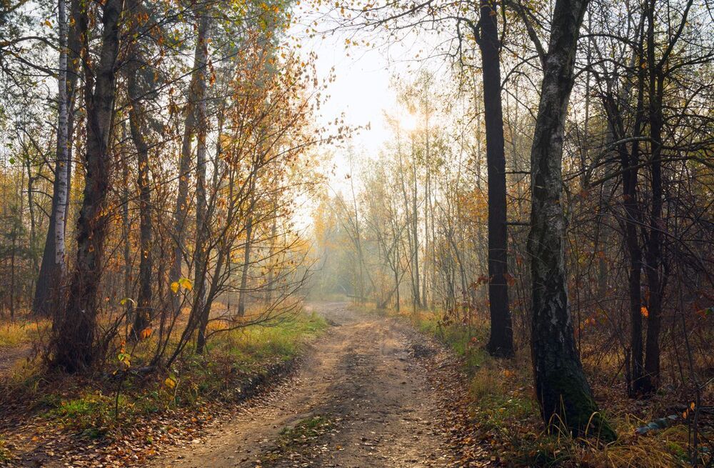 Autumn, the beautiful morning
