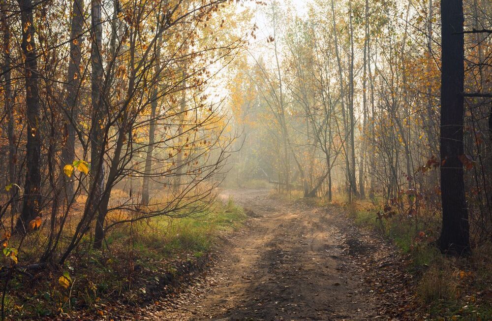 Autumn, the beautiful morning
