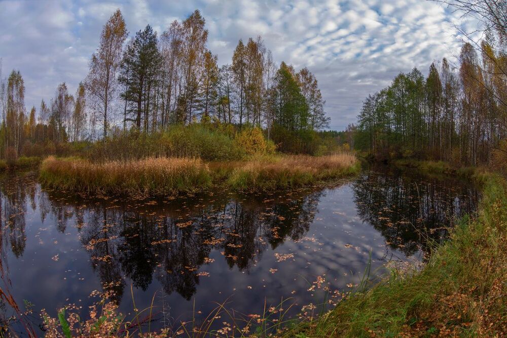 Тихое утро на маленькой речке