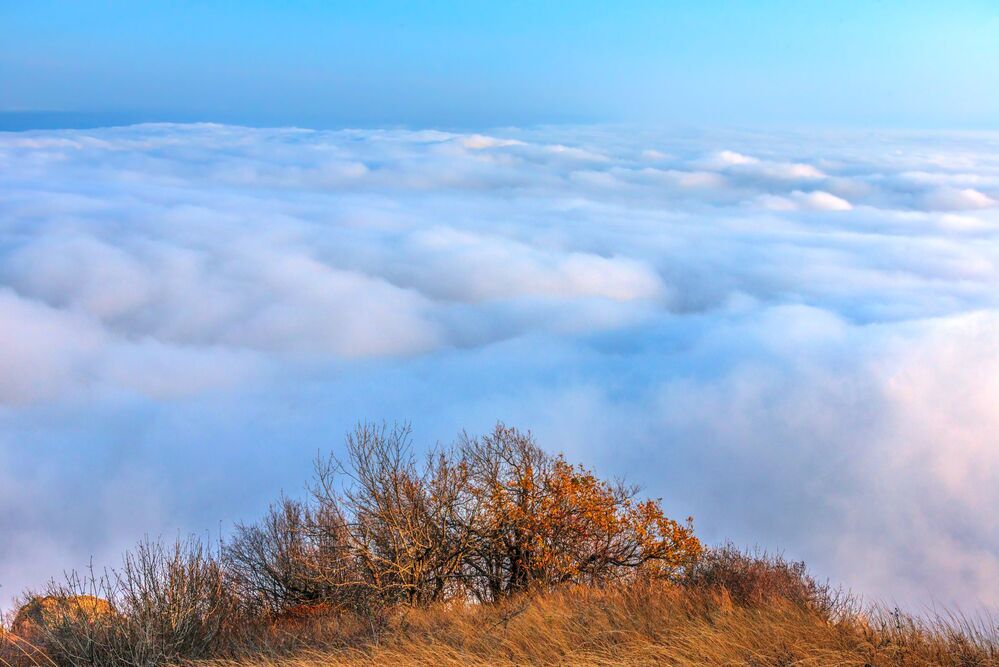 Над облаками-2