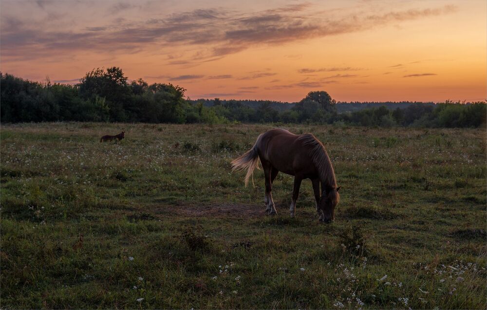 august morning