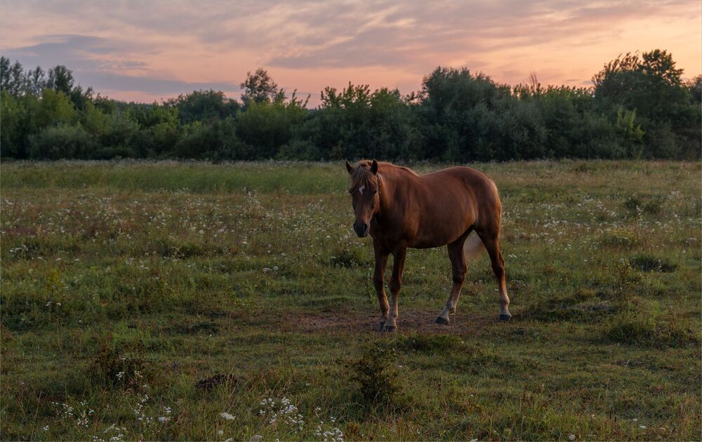 august morning