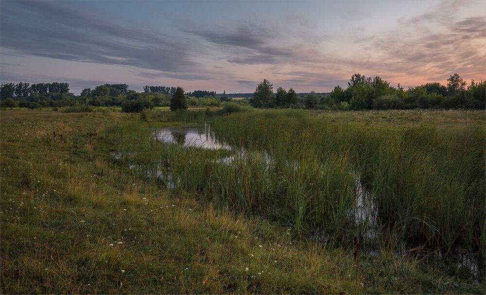 august morning