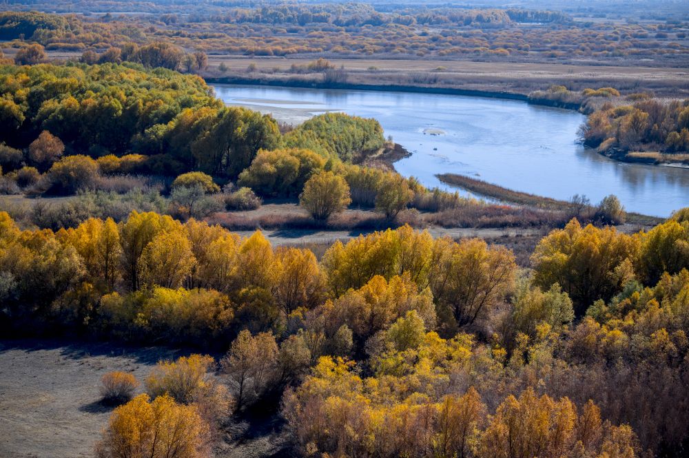 Осень в Прибалхашье
