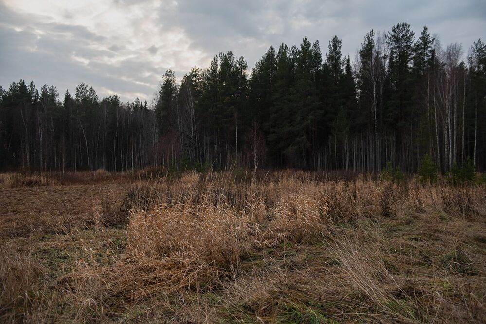 Photo 1797372