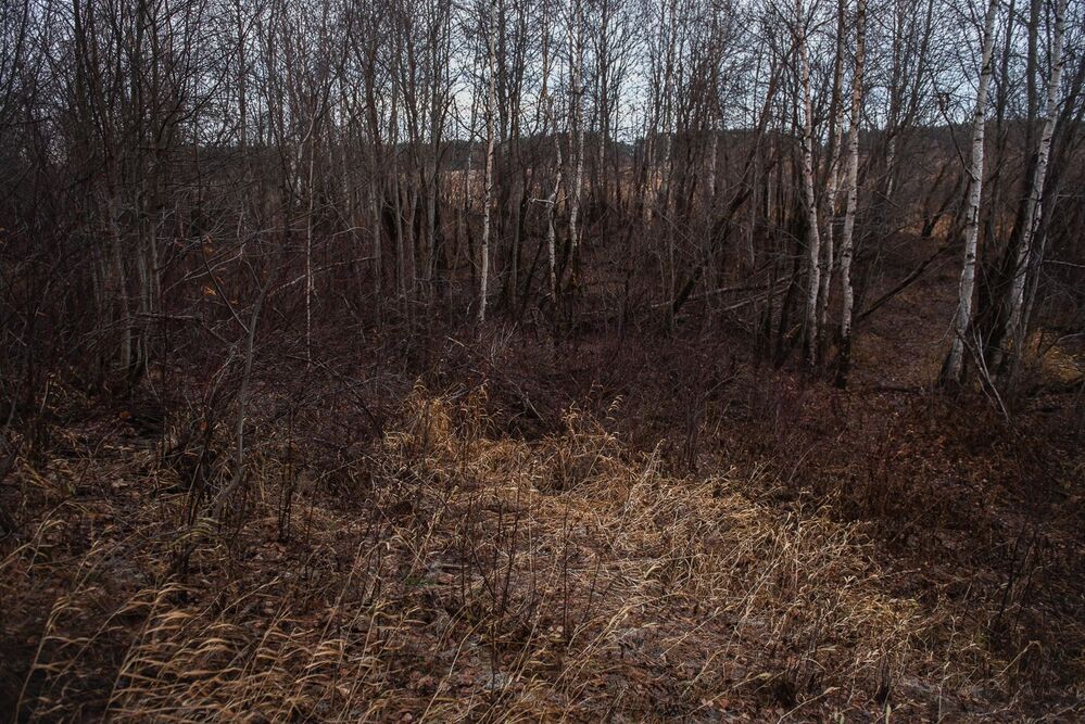 Photo 1797373