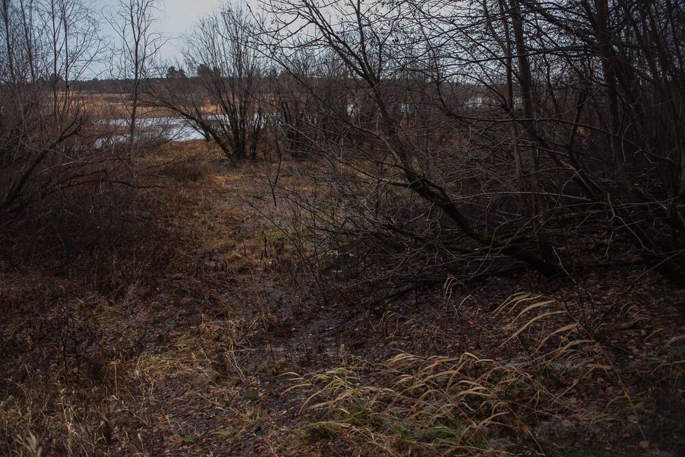 Photo 1797374