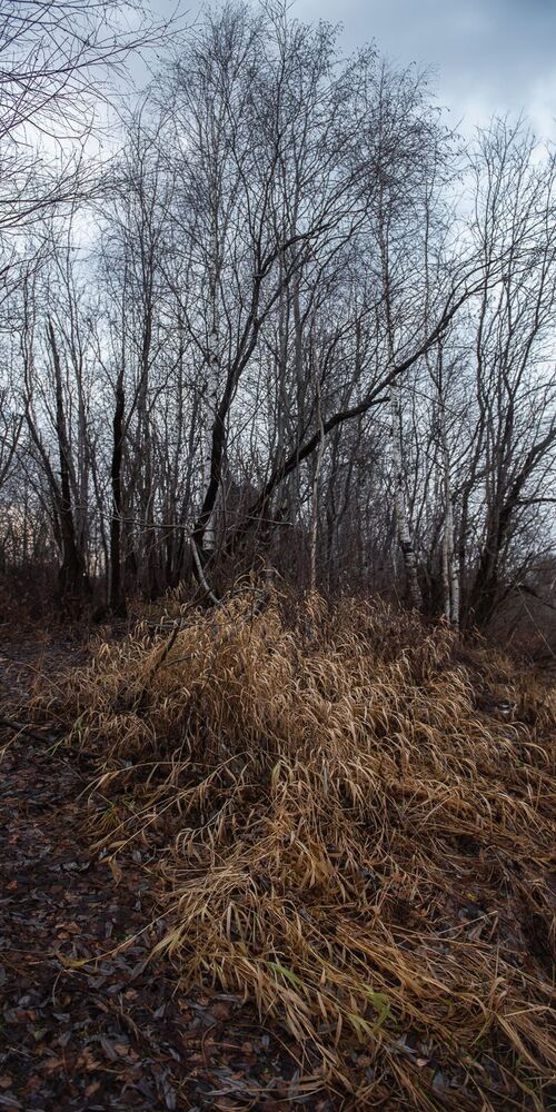 Photo 1797376