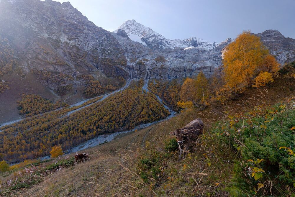 Осень на Софийских водопадах