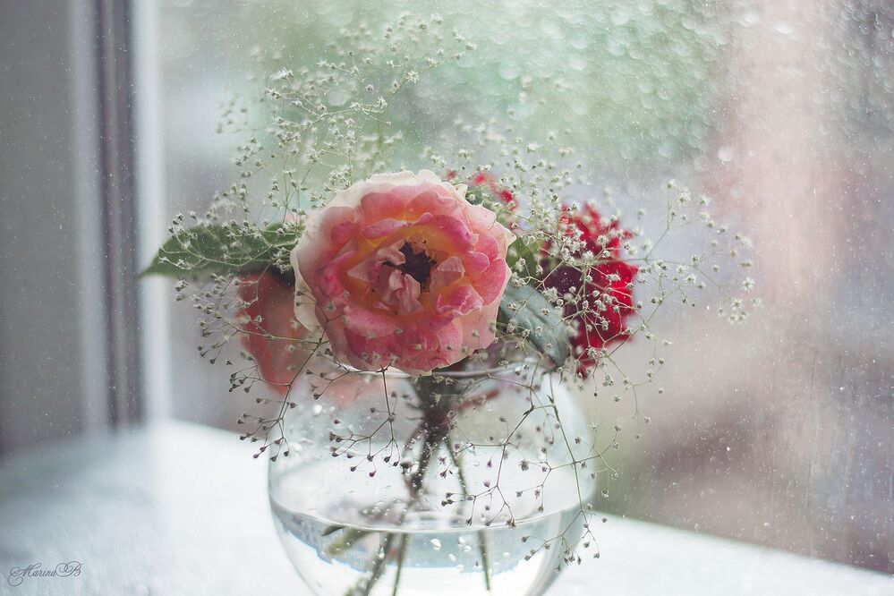 Kiss of the rain