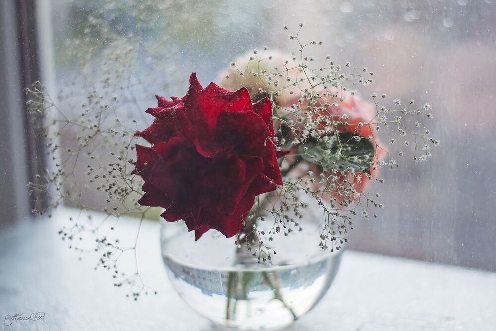 Kiss of the rain