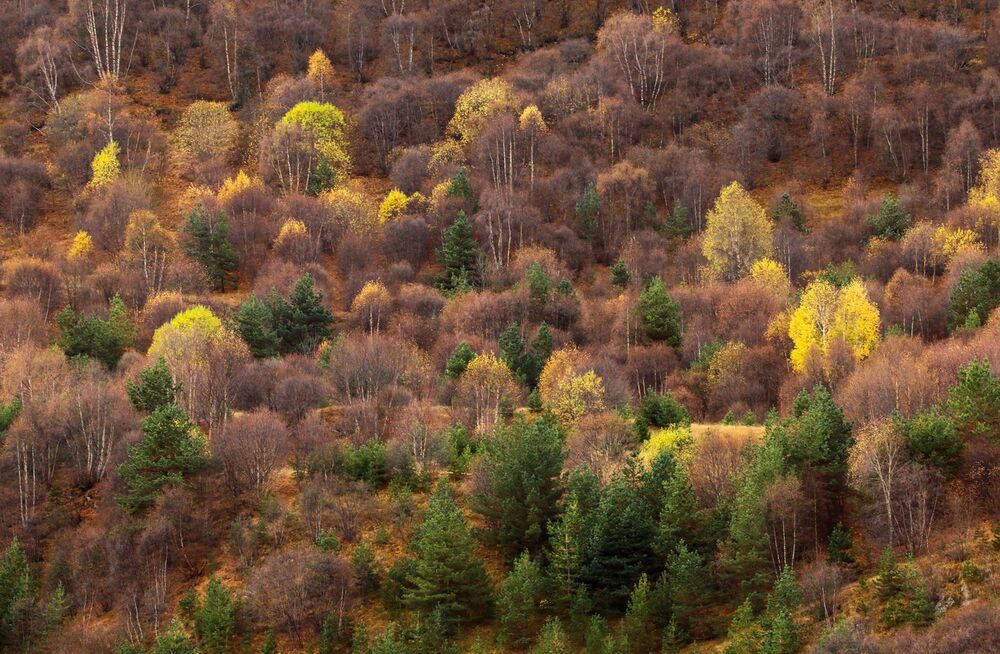 Осенние зарисовки..