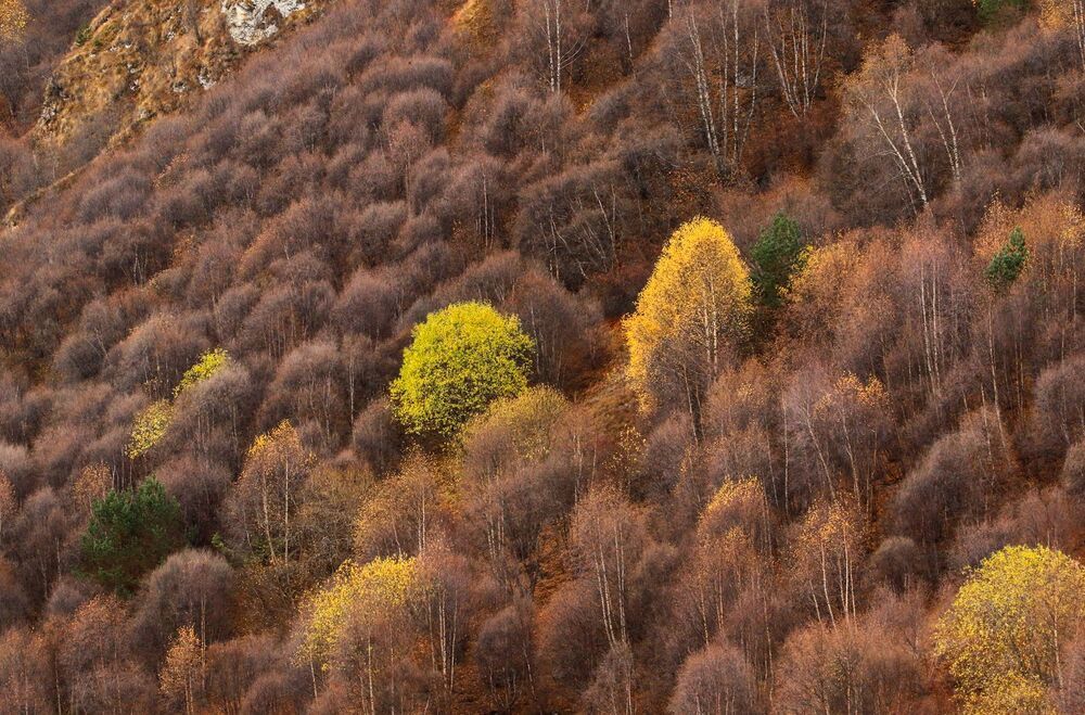 Осенние зарисовки..