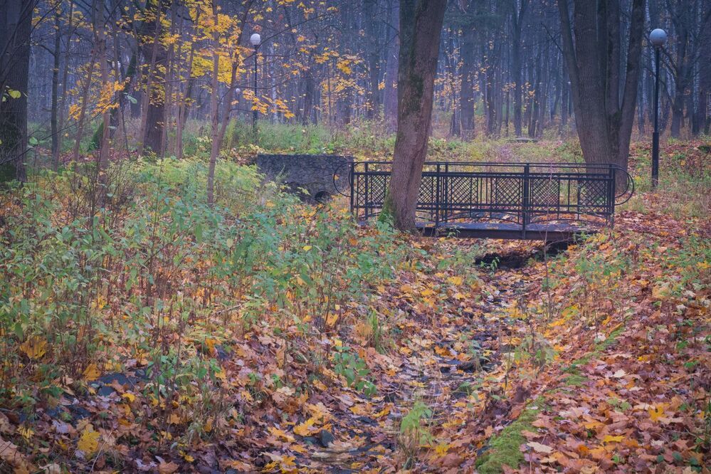 В парке ноябрь