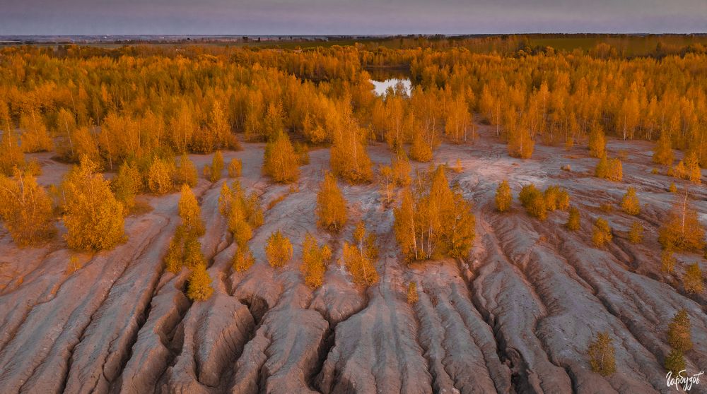 Кондуки осенью