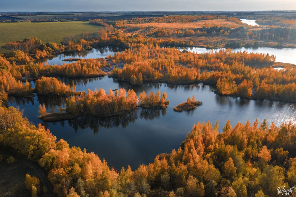 Кондуки осенью