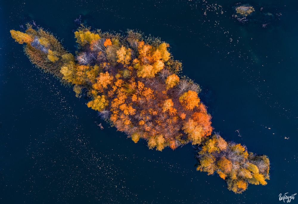 Кондуки осенью