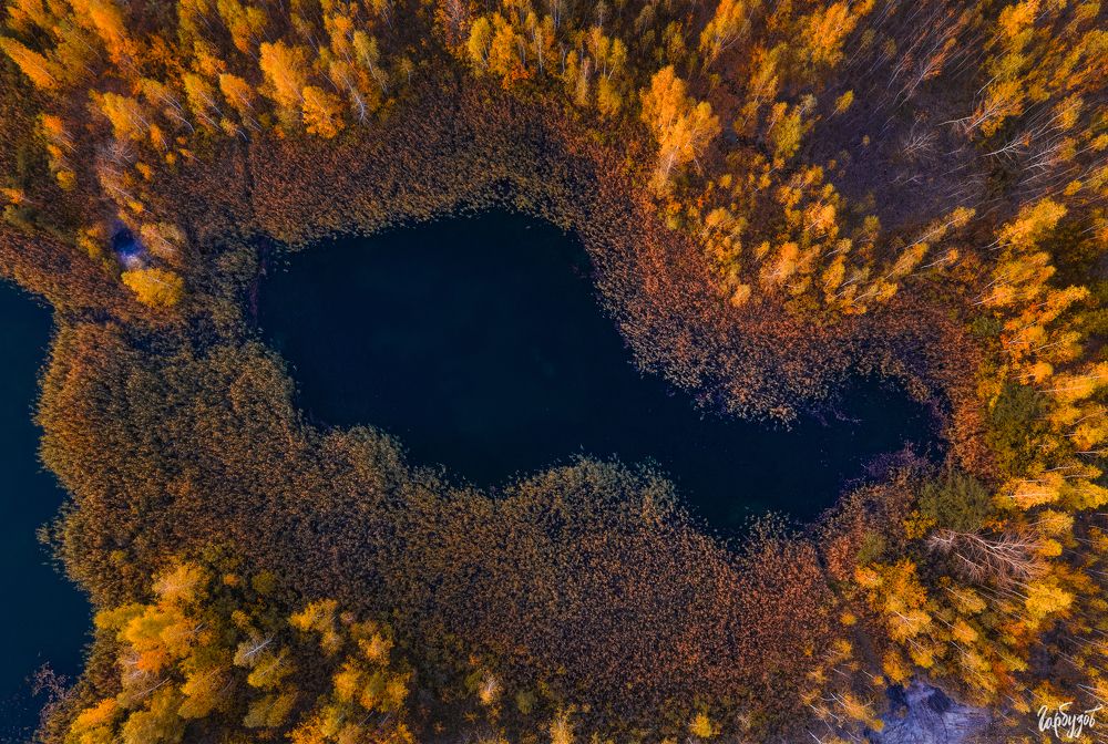 Кондуки осенью
