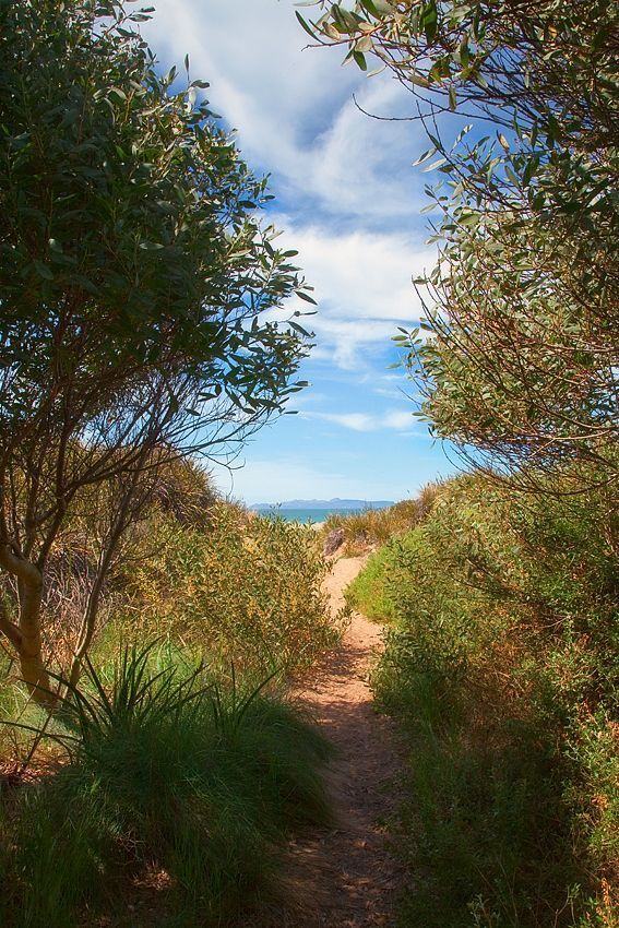 Van Diemen's Land -3