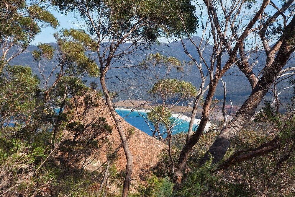 Van Diemen's Land -3