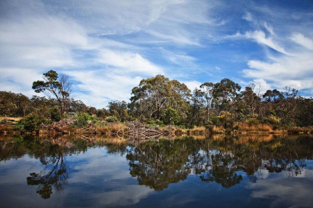Van Diemen's Land -3