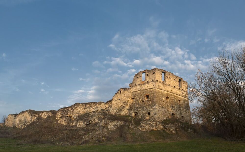 Замок в Токах построил Януш Збаражский (Janusz Zbaraski) (1553-1608 г.), воевода брацлавский в 1576 году. Замок возвышается на искусственном полуострове, окружен с трех сторон водоемом.